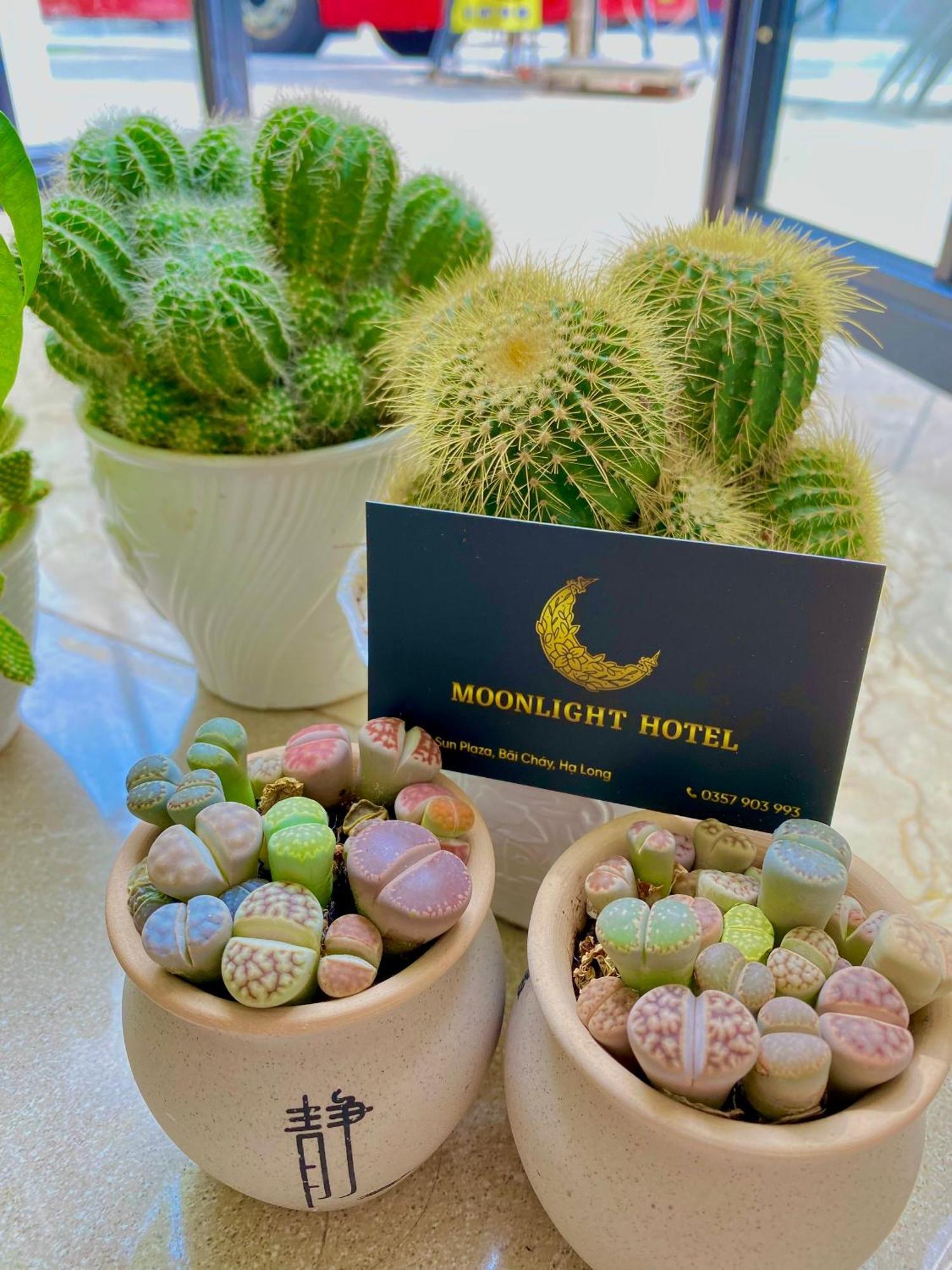 Moonlight Hotel Халонг Экстерьер фото